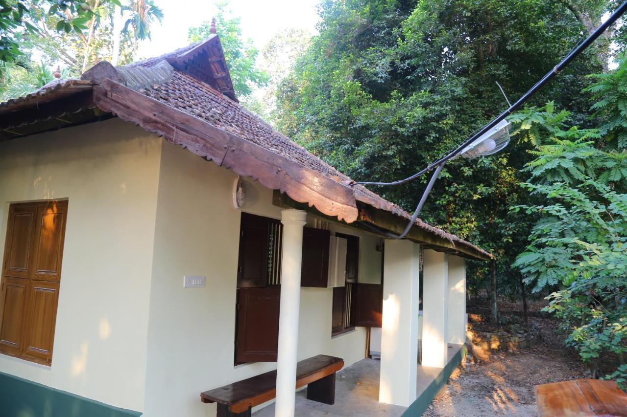 The Mana-Heritage Stay - Chengazhimattam Mana Kottayam Dış mekan fotoğraf