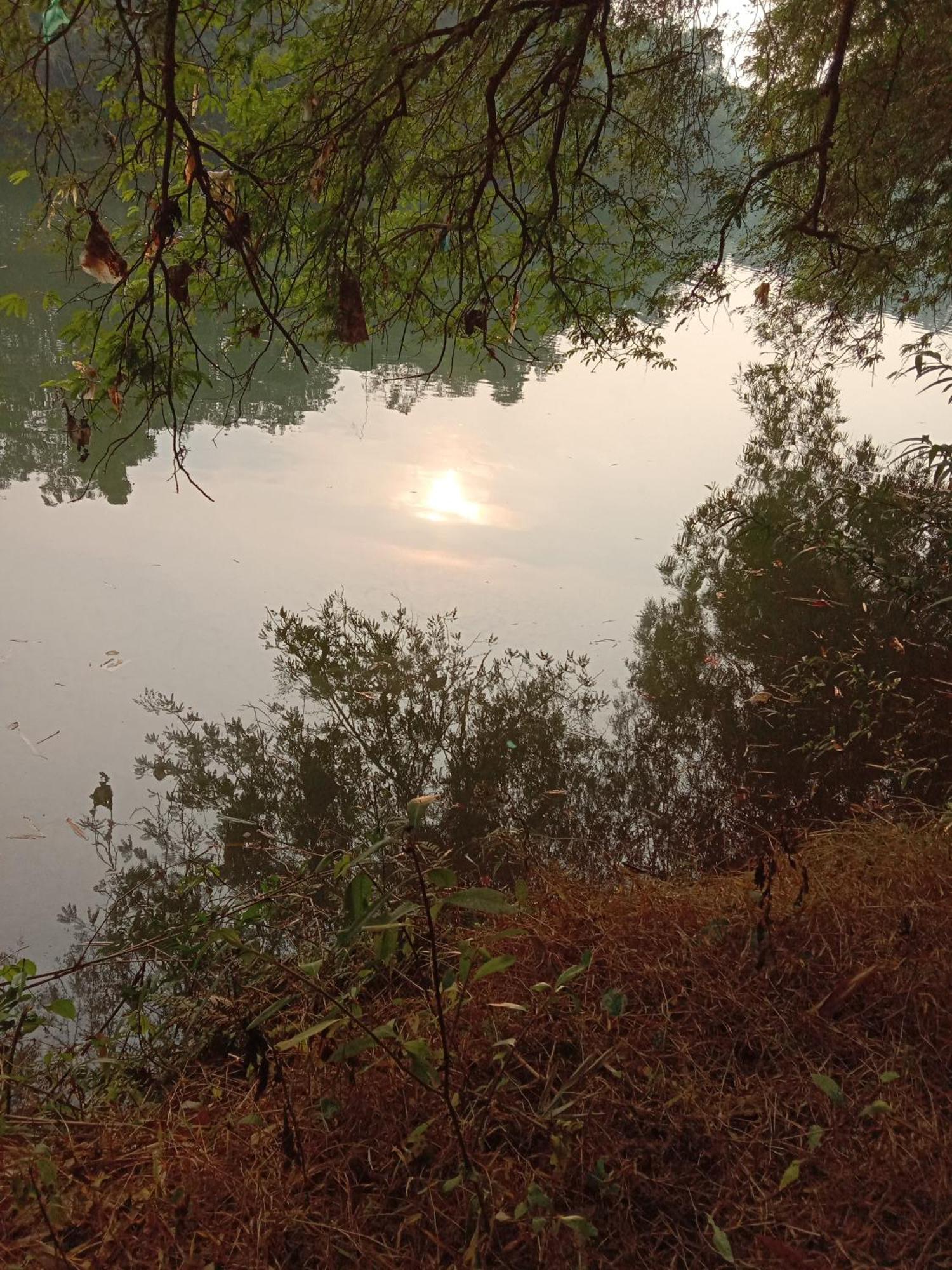 The Mana-Heritage Stay - Chengazhimattam Mana Kottayam Dış mekan fotoğraf