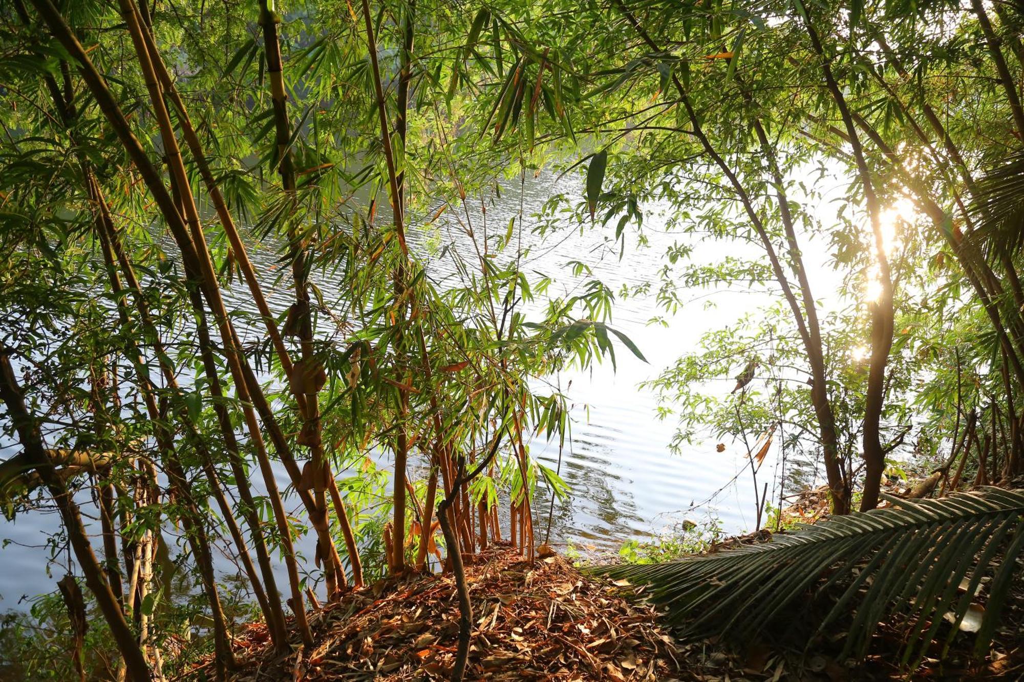 The Mana-Heritage Stay - Chengazhimattam Mana Kottayam Dış mekan fotoğraf