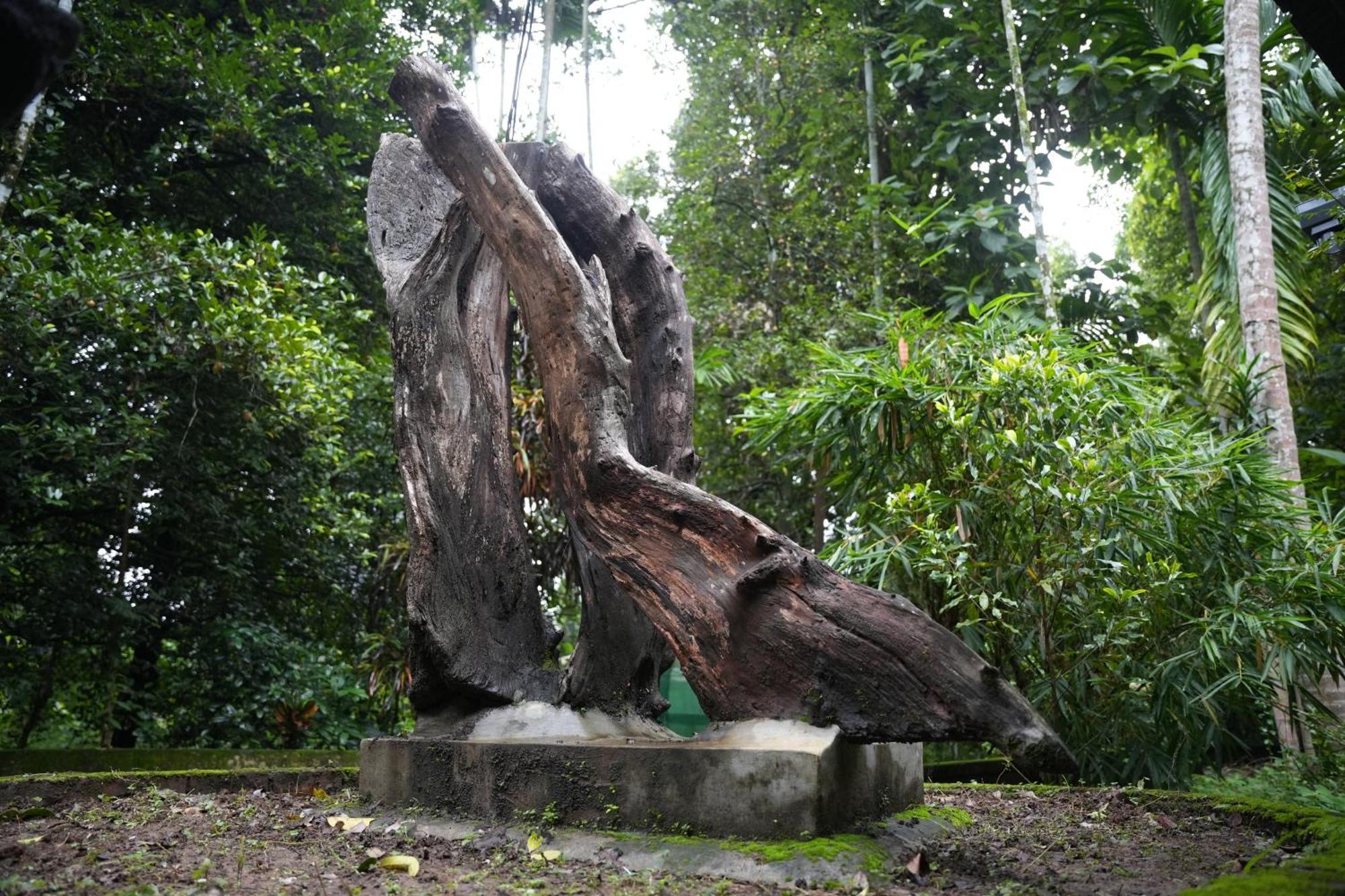 The Mana-Heritage Stay - Chengazhimattam Mana Kottayam Dış mekan fotoğraf