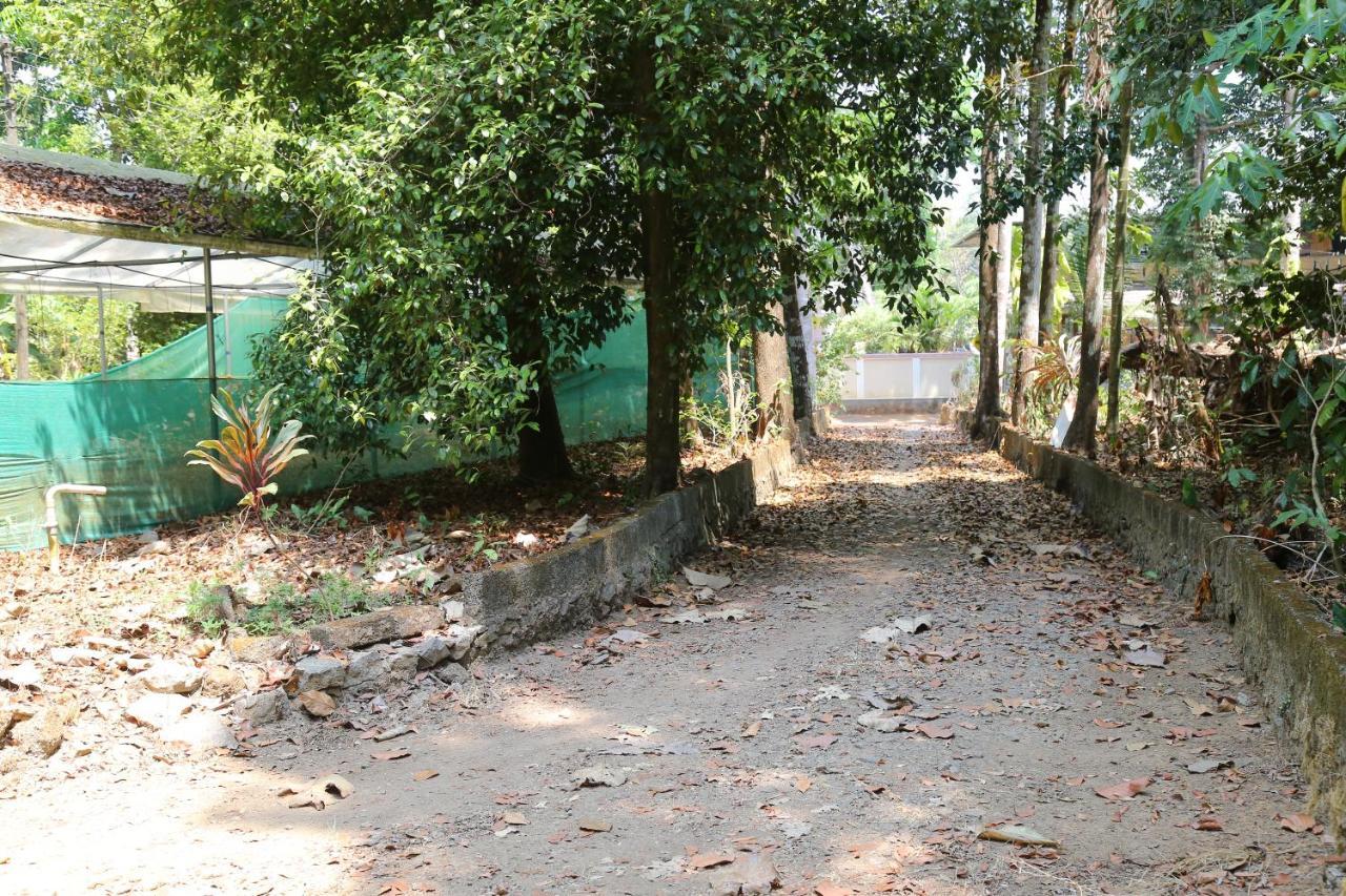The Mana-Heritage Stay - Chengazhimattam Mana Kottayam Dış mekan fotoğraf
