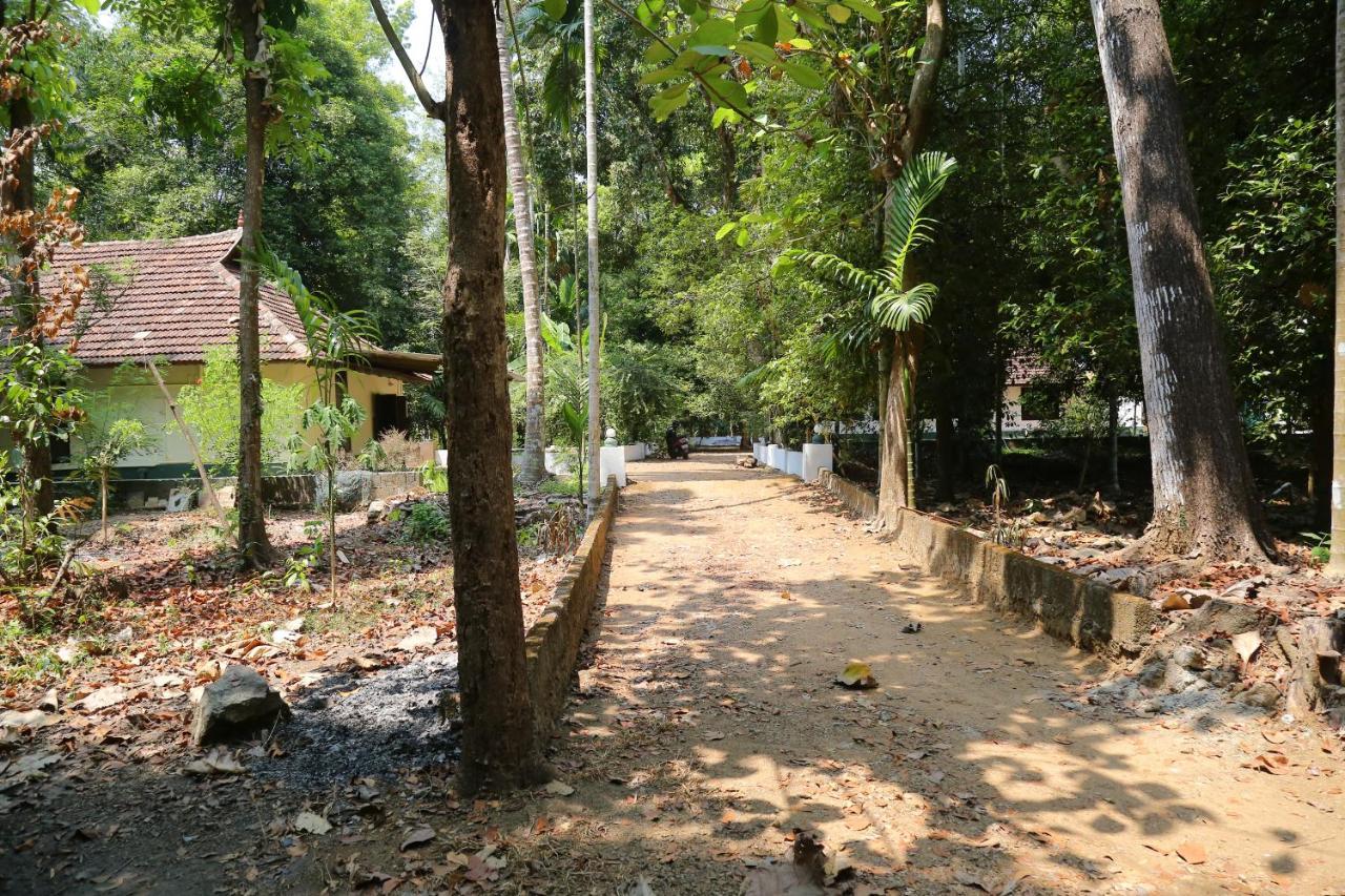 The Mana-Heritage Stay - Chengazhimattam Mana Kottayam Dış mekan fotoğraf