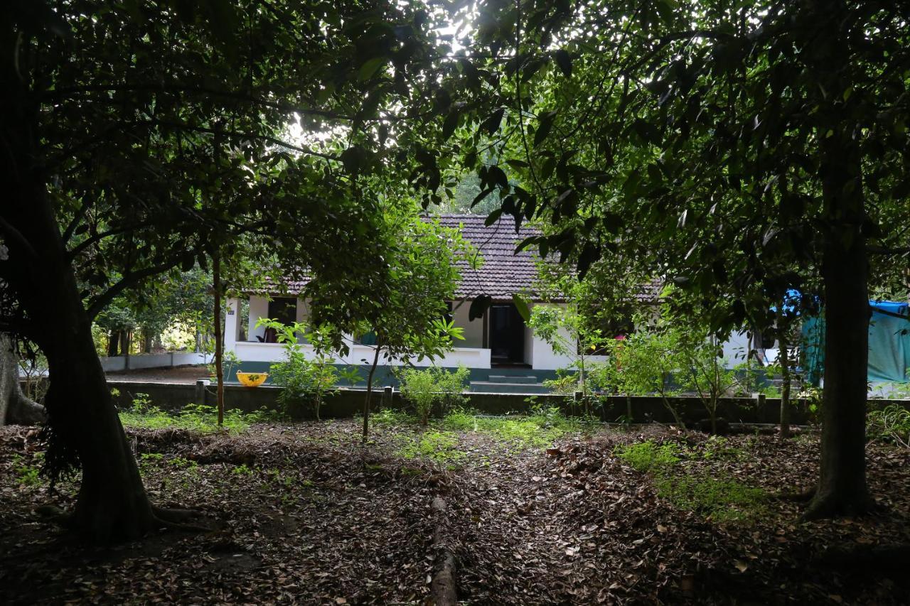 The Mana-Heritage Stay - Chengazhimattam Mana Kottayam Dış mekan fotoğraf