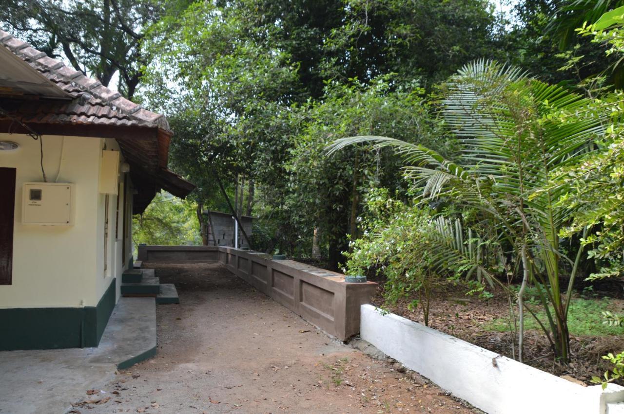 The Mana-Heritage Stay - Chengazhimattam Mana Kottayam Dış mekan fotoğraf